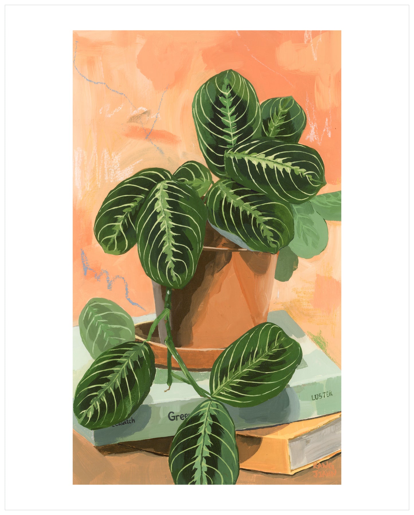 Prayer plant fine art print